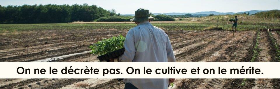 Un homme avance dans un champ avec des jeunes plants à la main, illustrant la métaphore du bouche-à-oreille local comme une culture patiente et méritée.