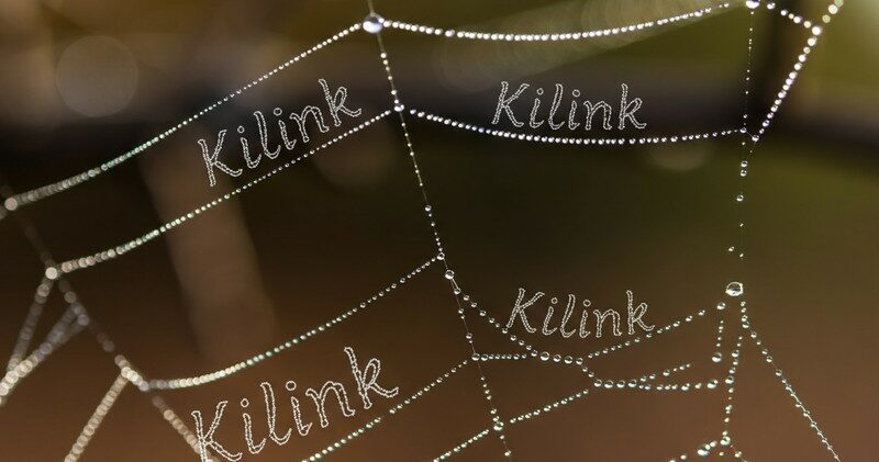 Toile d’araignée avec gouttes d’eau formant le mot Kilink, symbole du web et de l’identité numérique